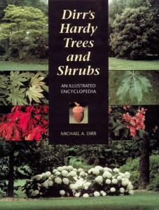 Dirrs Hardy Trees and Shrubs