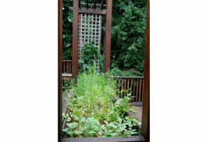 herb garden ideas