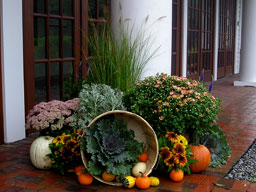 Fall Planters Ideas