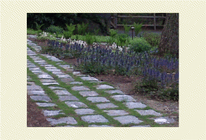 garden stone walkway
