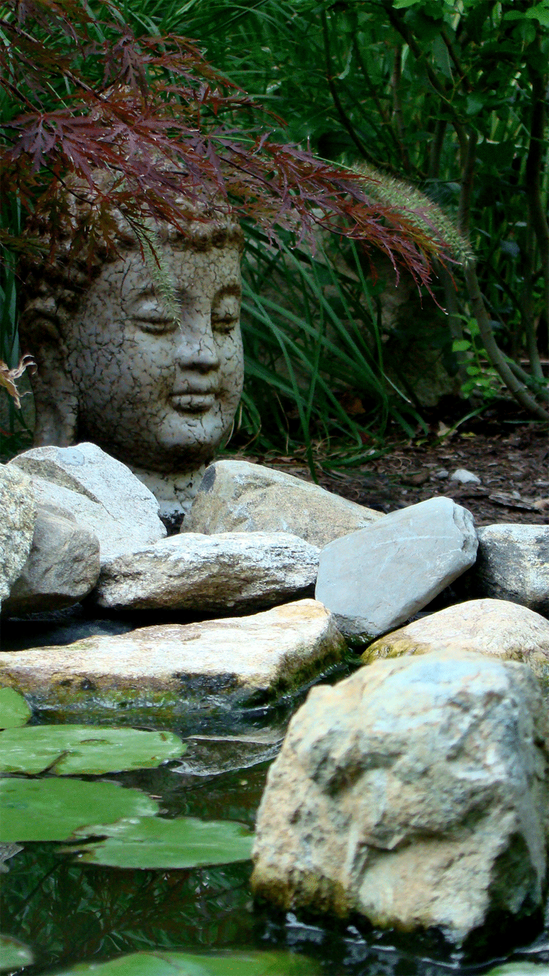 buddah zen garden