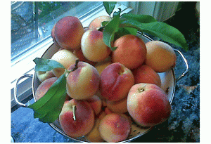 Peaches images